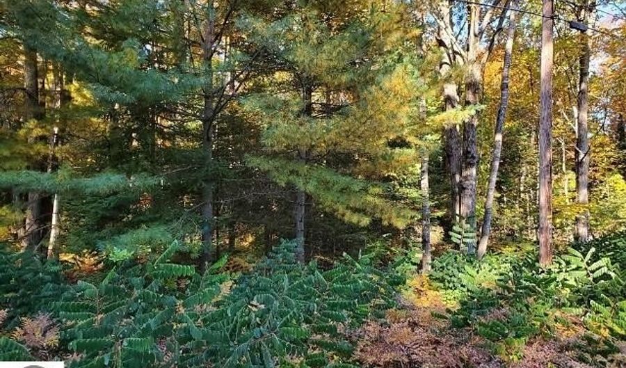 0 Scenic River Dr, Alger, MI 48610 - 0 Beds, 0 Bath
