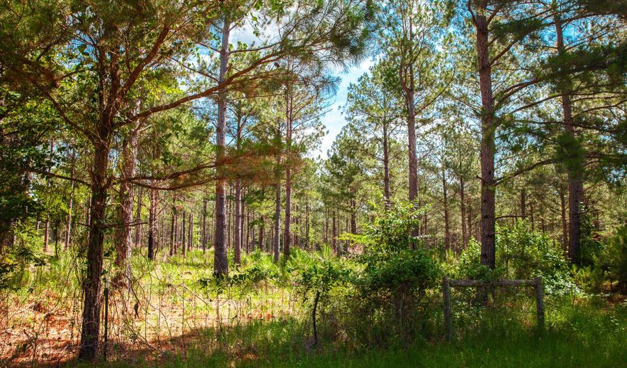 7175 BILL DORN Rd, Appling, GA 30802 - 0 Beds, 0 Bath