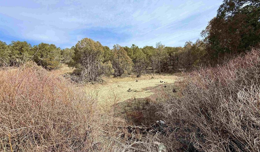 11 B Camino De Adelaida, Arroyo Seco, NM 87514 - 0 Beds, 0 Bath