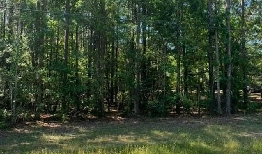 Cobbham Road, Appling, GA 30802 - 0 Beds, 0 Bath