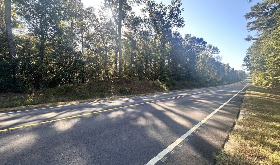 0 Highway 3, Blackville, SC 29817 - 0 Beds, 0 Bath