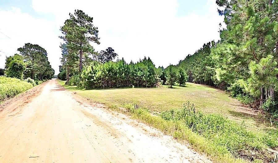 13 89 Ac Lumby Smith & Hwy 37, Adel, GA 31620 - 0 Beds, 0 Bath