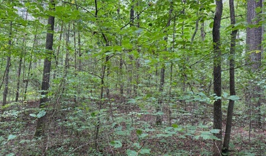 0 Carnes Chapel Rd, Attalla, AL 35954 - 0 Beds, 0 Bath