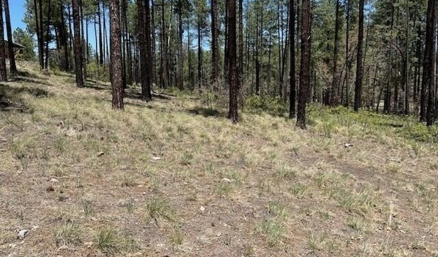 N2122, Alpine, AZ 85920 - 0 Beds, 0 Bath