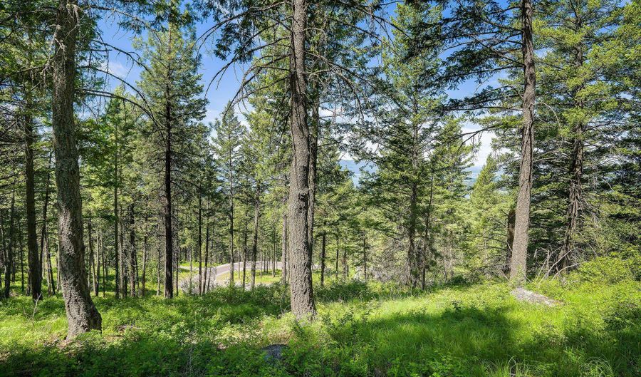 345 Chief Cliff Trl, Bigfork, MT 59911 - 0 Beds, 0 Bath