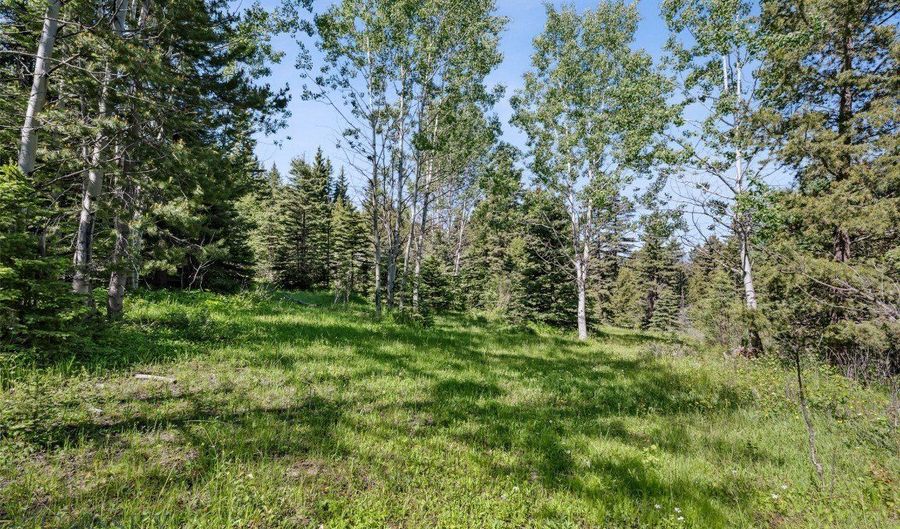 Tbd Smokey Mountain Drive, Anaconda, MT 59711 - 0 Beds, 0 Bath
