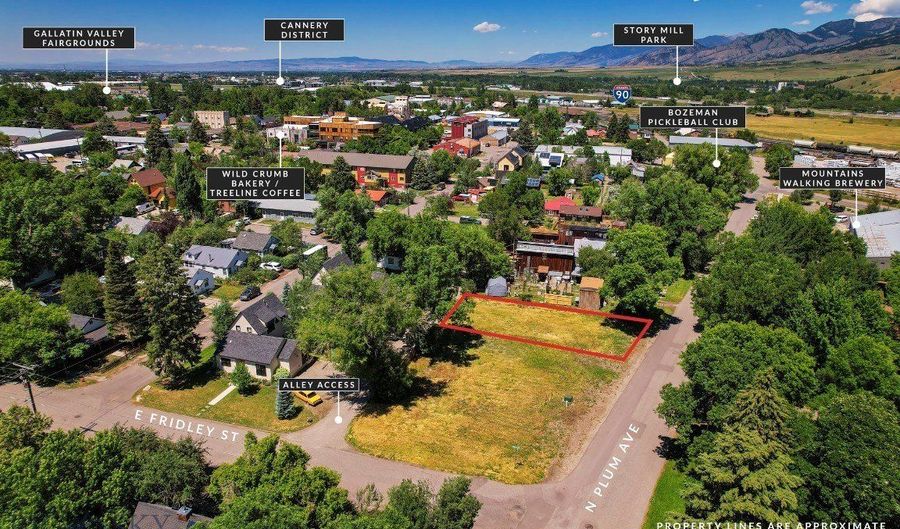 411 N Plum, Bozeman, MT 59715 - 0 Beds, 0 Bath