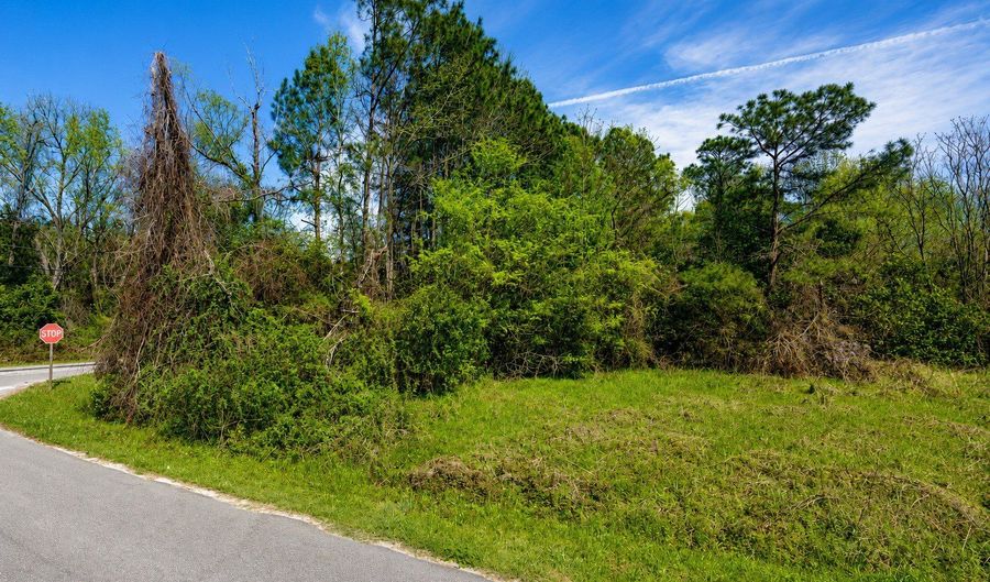 80 ACRE Monnie St, Ashburn, GA 31714 - 0 Beds, 0 Bath