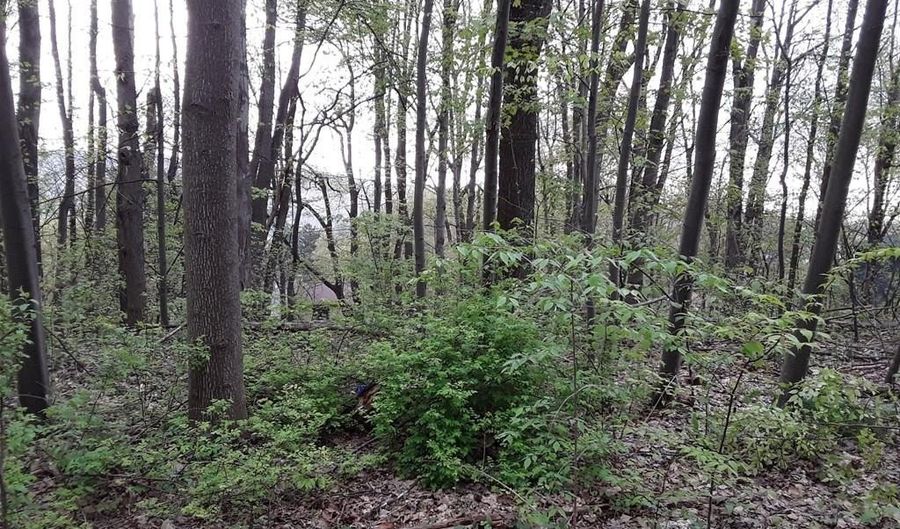 305 Ridge Ave, Altoona, PA 16602 - 0 Beds, 0 Bath