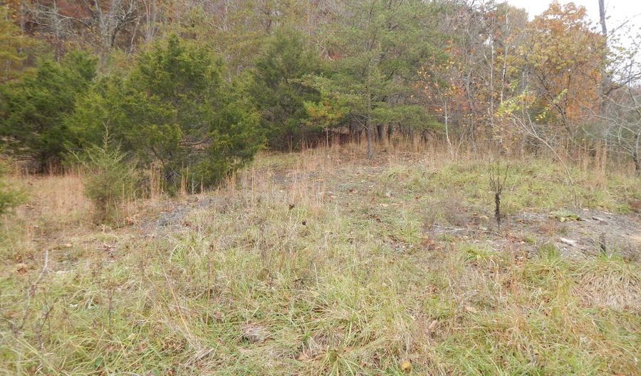 Spoon Gap Rd, Abingdon, VA 24211 - 0 Beds, 0 Bath