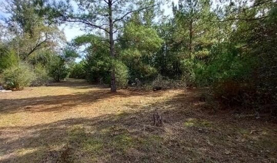 Tommy Tucker Road lot 5, Altha, FL 32421 - 0 Beds, 0 Bath