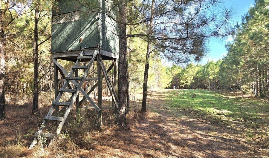 1228 River Rd, Ariton, AL 36311 - 3 Beds, 2 Bath