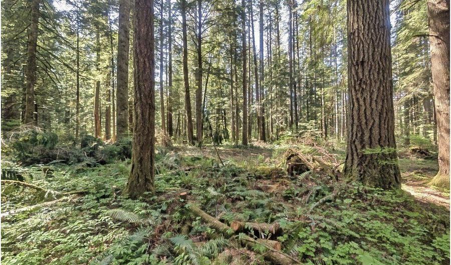 62955 E MOUNTAIN COUNTRY Ln, Brightwood, OR 97011 - 0 Beds, 0 Bath
