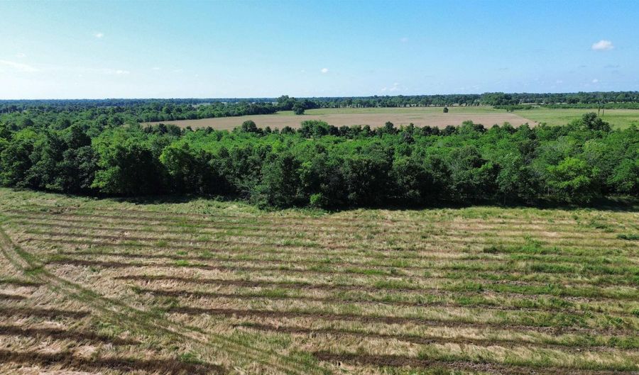 Pine Prairie Rd, Ashdown, AR 71822 - 0 Beds, 0 Bath