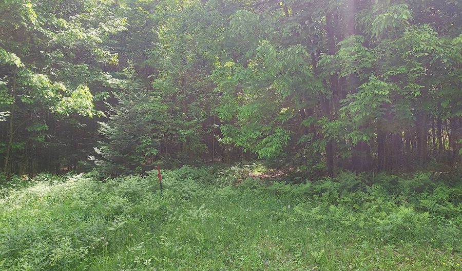 9 Private Road WI-139, Argonne, WI 54511 - 0 Beds, 0 Bath
