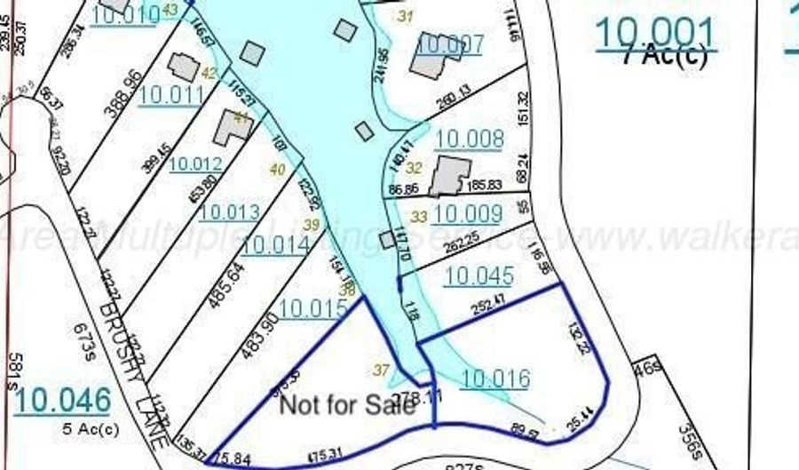 BRUSHY LANE, Arley, AL 35541 - 0 Beds, 0 Bath