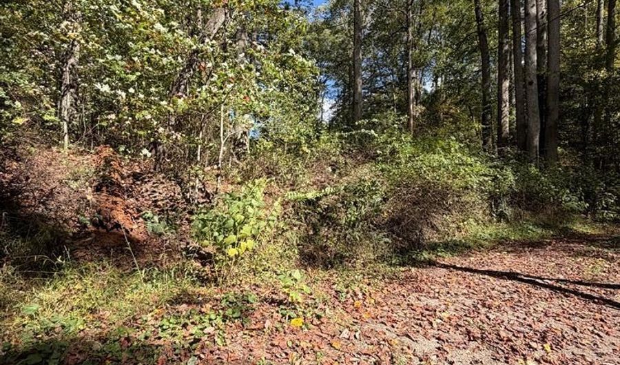 Orchard Hill RD, Beaver, WV 25813 - 0 Beds, 0 Bath