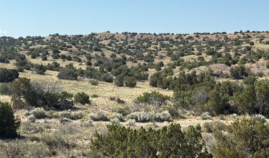 Tbd Fort Defina, Abiquiu, NM 87510 - 0 Beds, 0 Bath