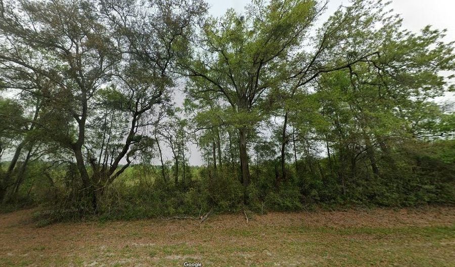 CR-340, Bell, FL 32619 - 0 Beds, 0 Bath