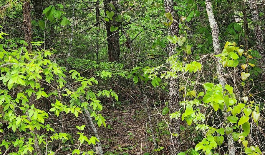 Strawberry Valley Road, Ash Flat, AR 72513 - 0 Beds, 0 Bath
