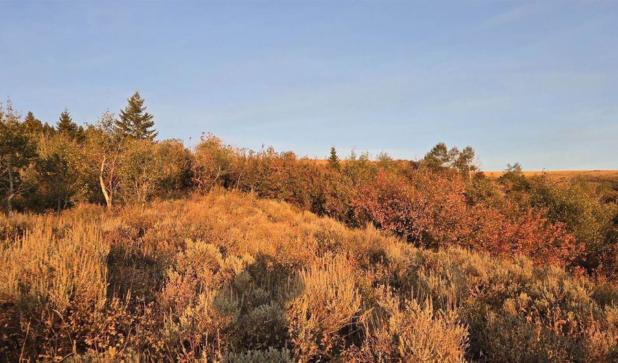 Mercer Creek Rd, Arbon, ID 83212 - 0 Beds, 0 Bath