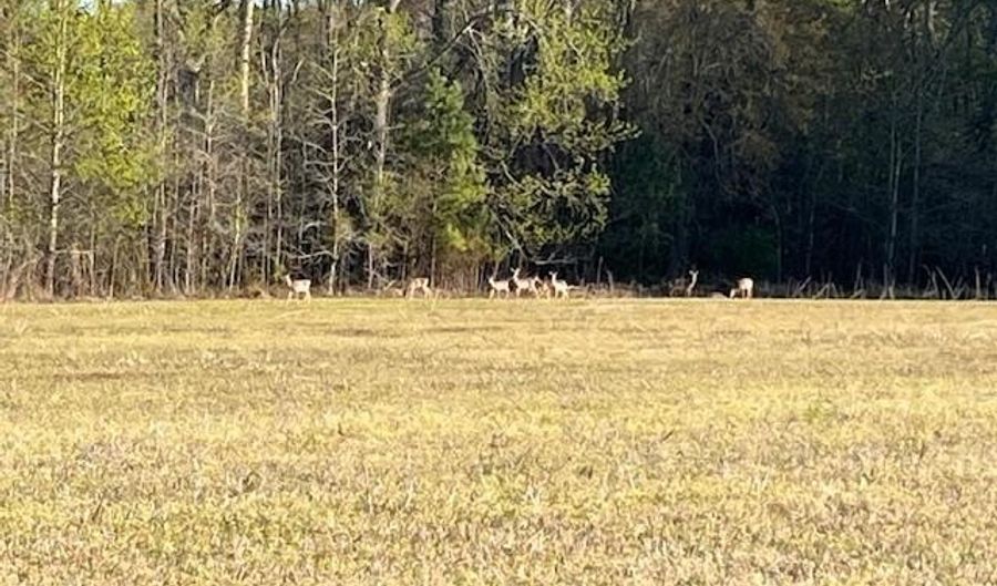 E SHIRE Drive, Berlin, MD 21811 - 0 Beds, 0 Bath