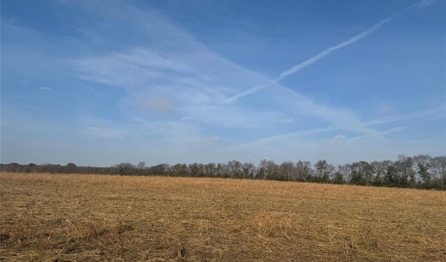 000 FM 44, Annona, TX 75550 - 0 Beds, 0 Bath