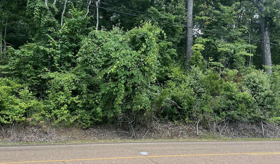 8207 OLD BROWNSVILLE Rd Lot 8 To 10, Bartlett, TN 38002 - 0 Beds, 0 Bath