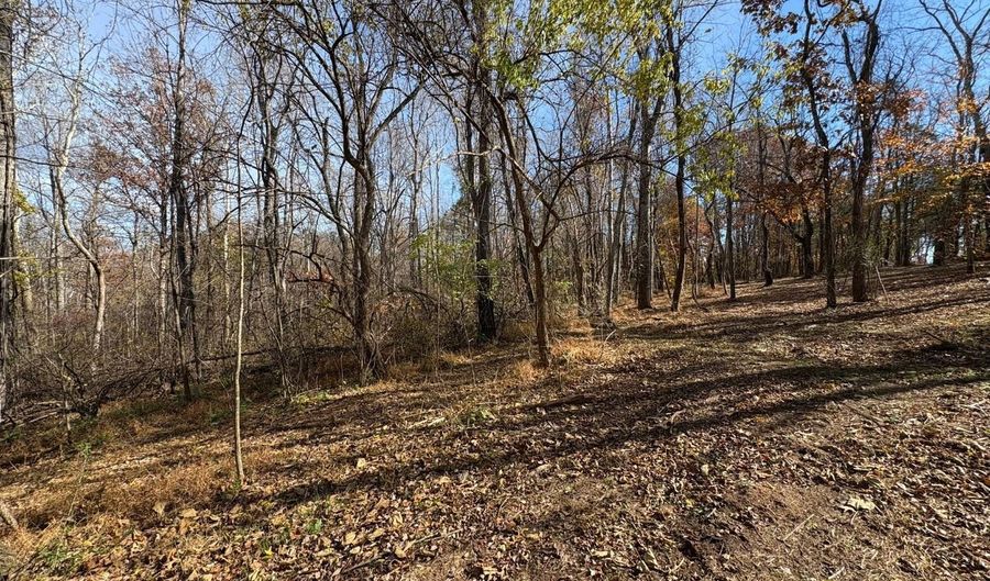 99- E Richmond Hwy, Amherst, VA 24521 - 0 Beds, 0 Bath