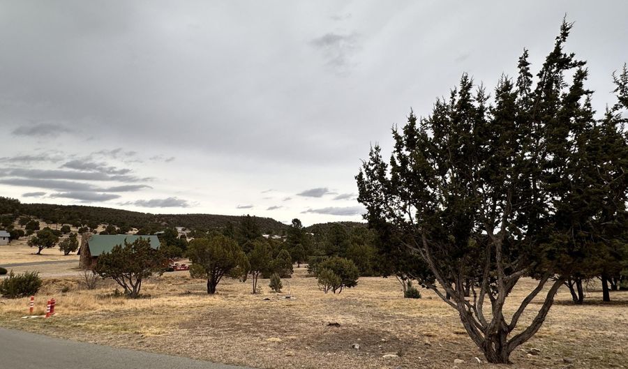 Lot 111 Antler Dr, Alto, NM 88312 - 0 Beds, 0 Bath