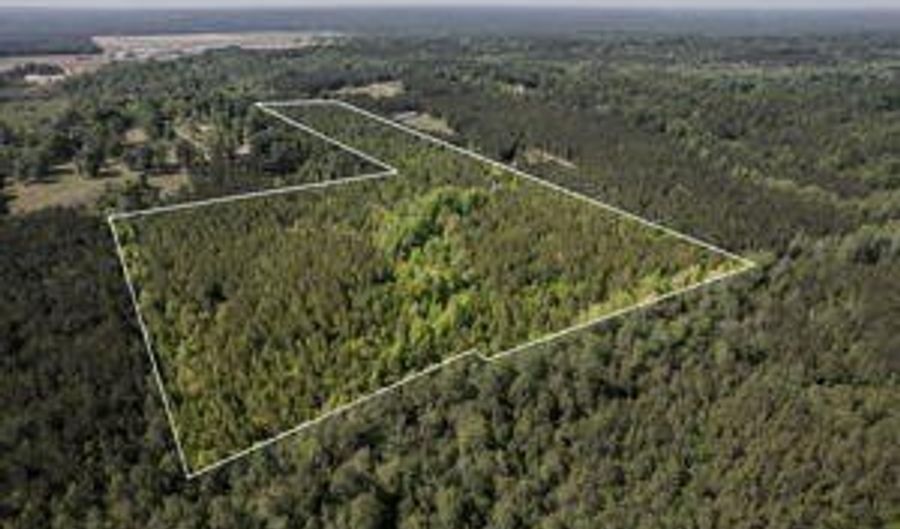 35 8 Ac Pearces Rd, Brooklyn, MS 39425 - 0 Beds, 0 Bath