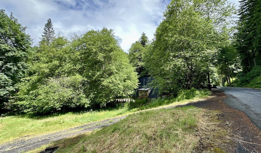 71529 FISHHAWK Rd, Birkenfeld, OR 97016 - 0 Beds, 0 Bath