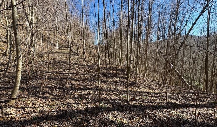 209 Hump View Trl, Banner Elk, NC 28604 - 0 Beds, 0 Bath