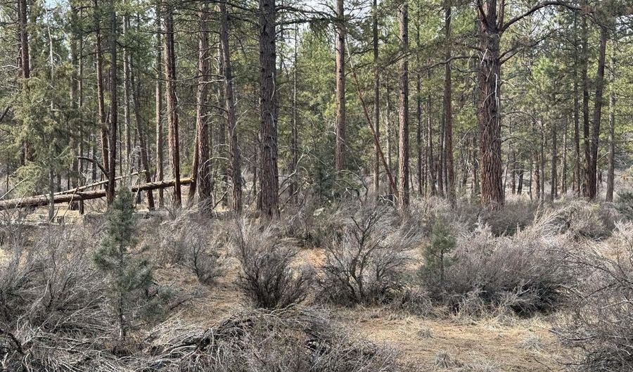 Bufflehead Drive TL 10, Bonanza, OR 97623 - 0 Beds, 0 Bath