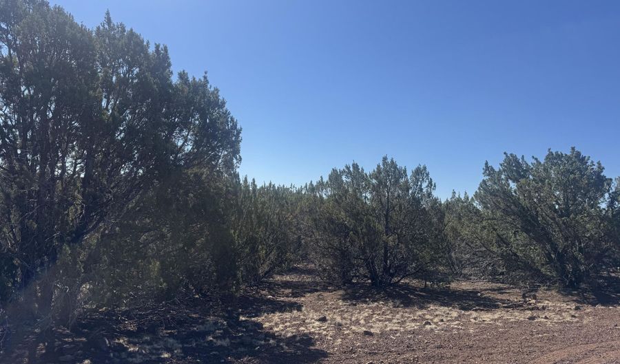 50 County Road 3190, Vernon, AZ 85940 - 0 Beds, 0 Bath