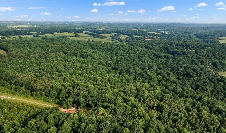 0 Reels Rd, Adolphus, KY 42120 - 0 Beds, 0 Bath
