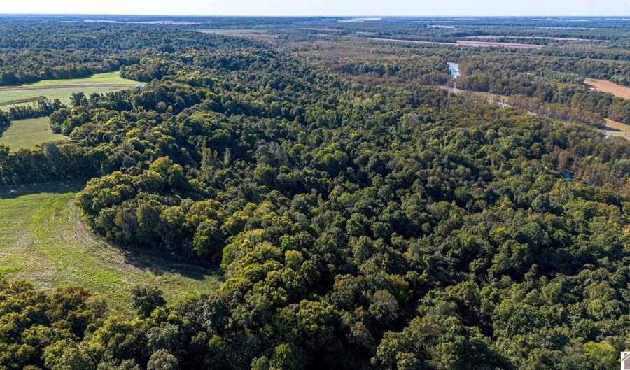 000 County Road 1320 BETWEEN COUNTY ROADS 1324 AND 1320, Bardwell, KY 42023 - 0 Beds, 0 Bath