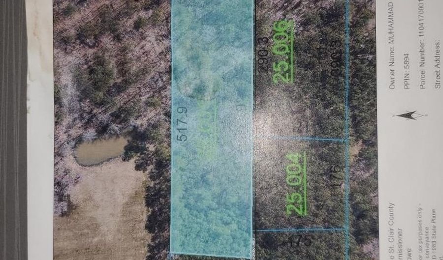 0 WOOD Ln 1, Ashville, AL 35953 - 0 Beds, 0 Bath