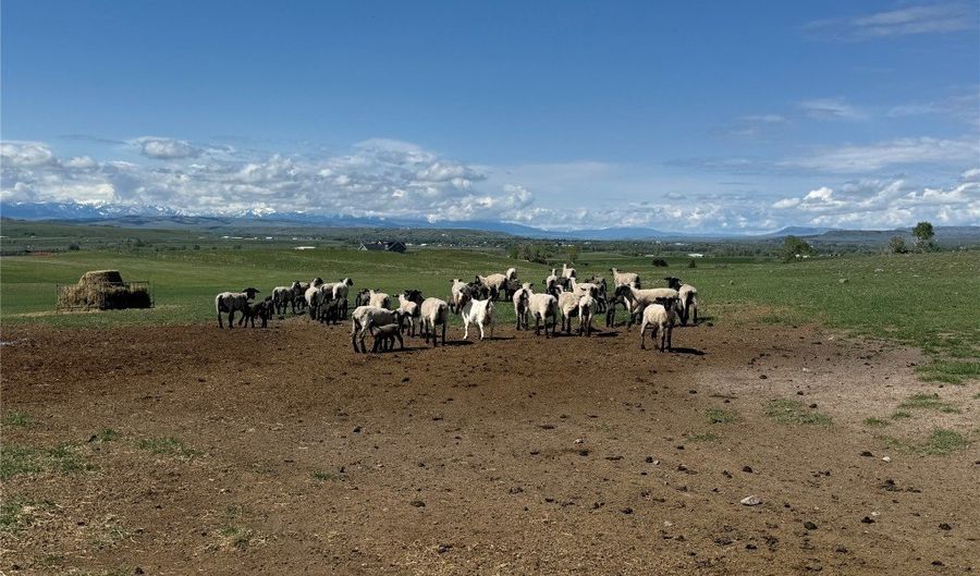 307 Howie Rd, Big Timber, MT 59011 - 4 Beds, 3 Bath