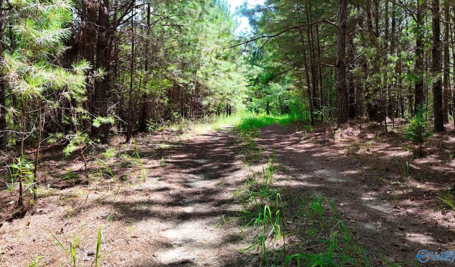 Arley Lndg, Arley, AL 35541 - 0 Beds, 0 Bath