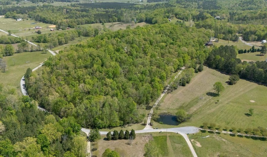 895 POPLAR SPRINGS Trl, Ashville, AL 35953 - 6 Beds, 6 Bath