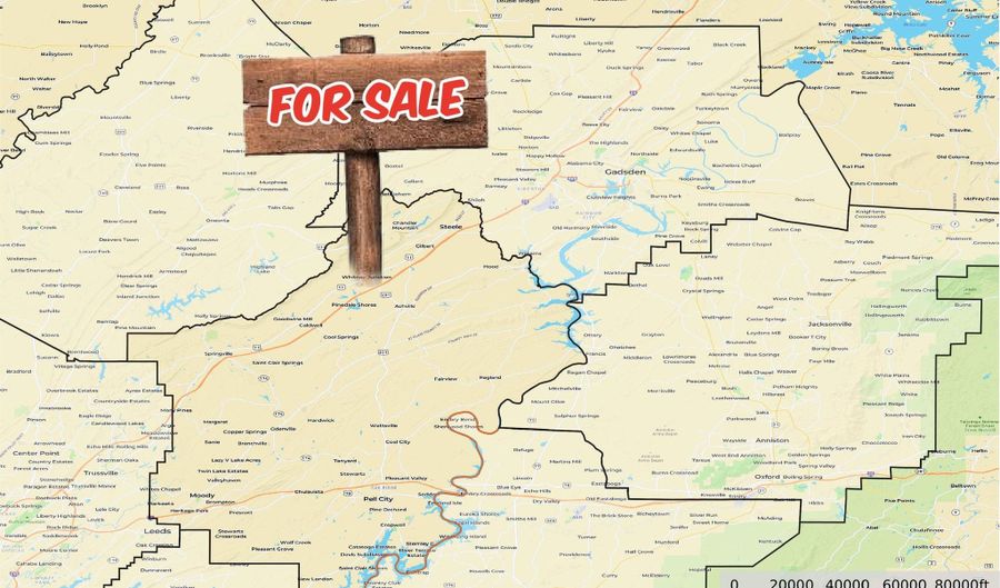 HIGHWAY 11 lot 15+/- Ac, Ashville, AL 35953 - 0 Beds, 0 Bath