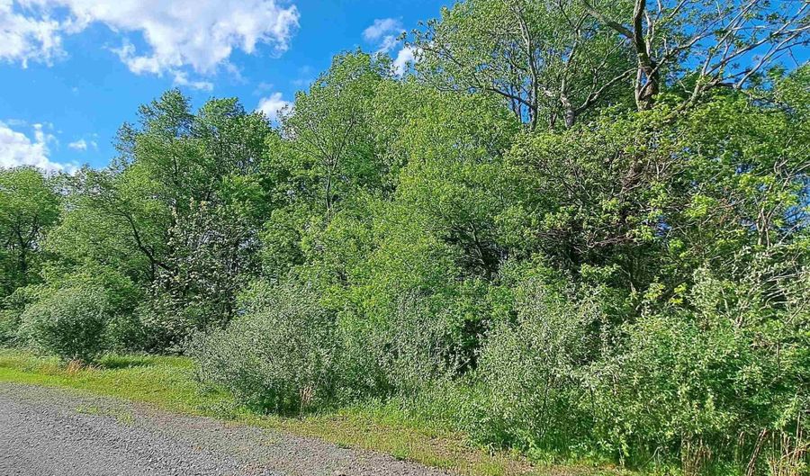 Hudson Mill Road, Albright, WV 26519 - 0 Beds, 0 Bath