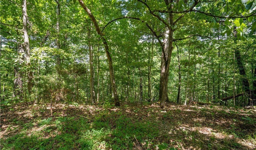 Armitage Drive lot 12, Bella Vista, AR 72715 - 0 Beds, 0 Bath