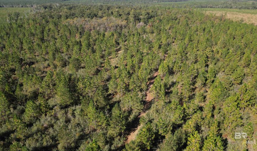 25001 Highway 112, Bay Minette, AL 36507 - 0 Beds, 0 Bath