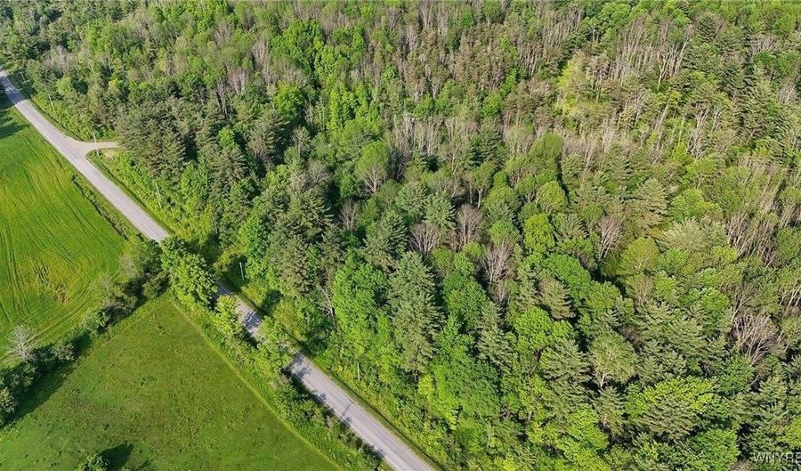 00 Lamont Rd, Angelica, NY 14709 - 0 Beds, 0 Bath