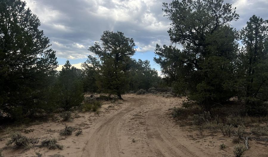 Forest Road 556, Carson, NM 87517 - 0 Beds, 0 Bath