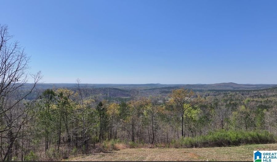 200 TABLEE Ln 1, Ashland, AL 36251 - 0 Beds, 0 Bath