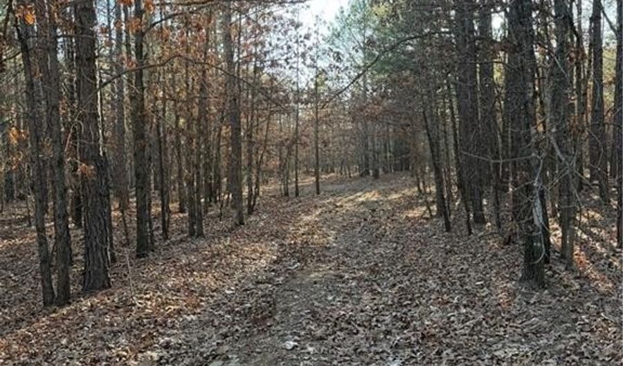 Tract 3 Rural Atoka, Atoka, OK 74525 - 0 Beds, 0 Bath