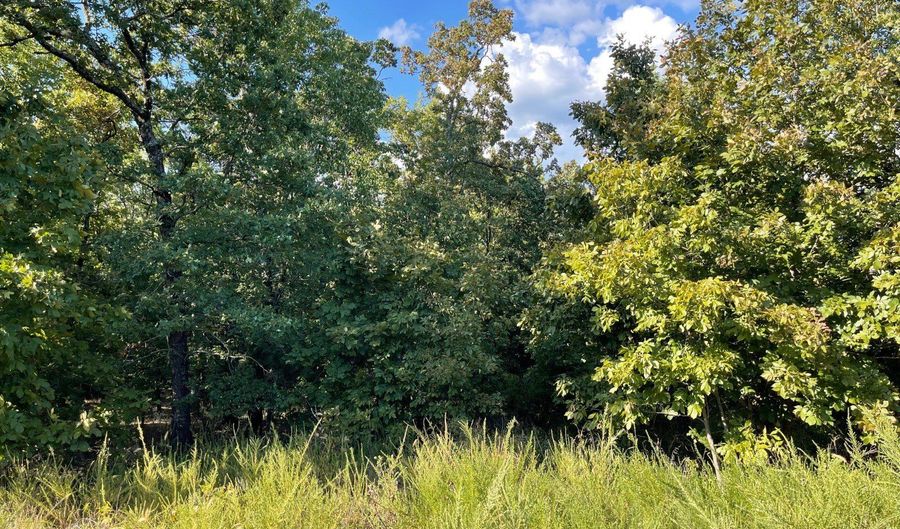 Lot 77 Eufaula Lake Drive, McAlester, OK 74501 - 0 Beds, 0 Bath
